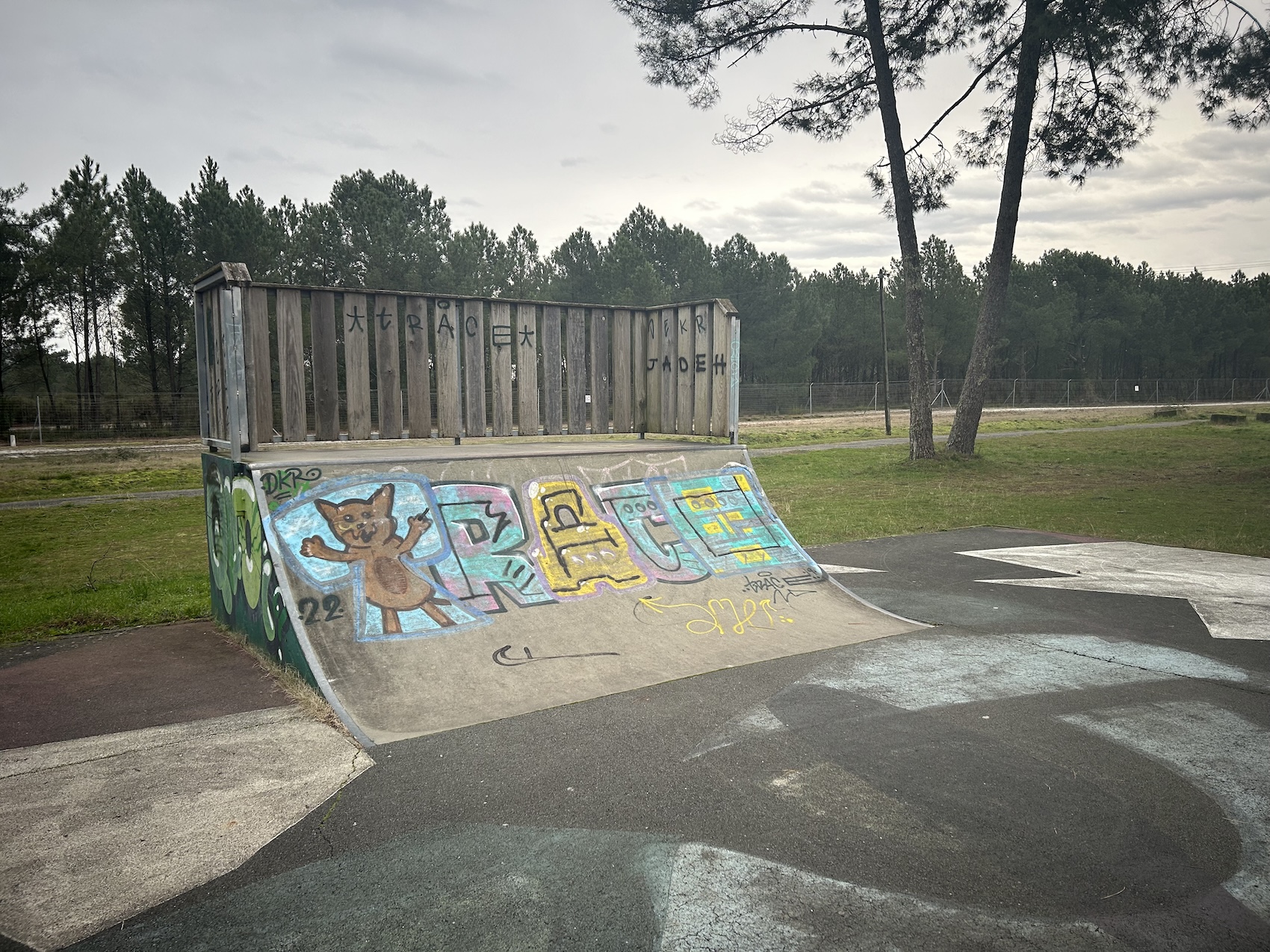 Cazaux skatepark